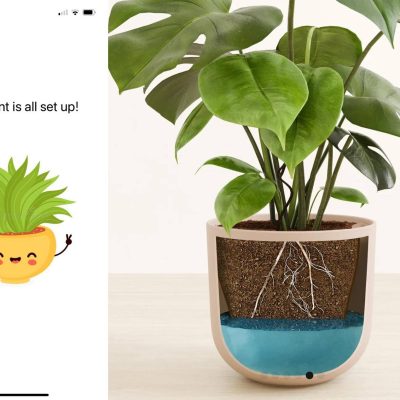 IoT house plant (1)